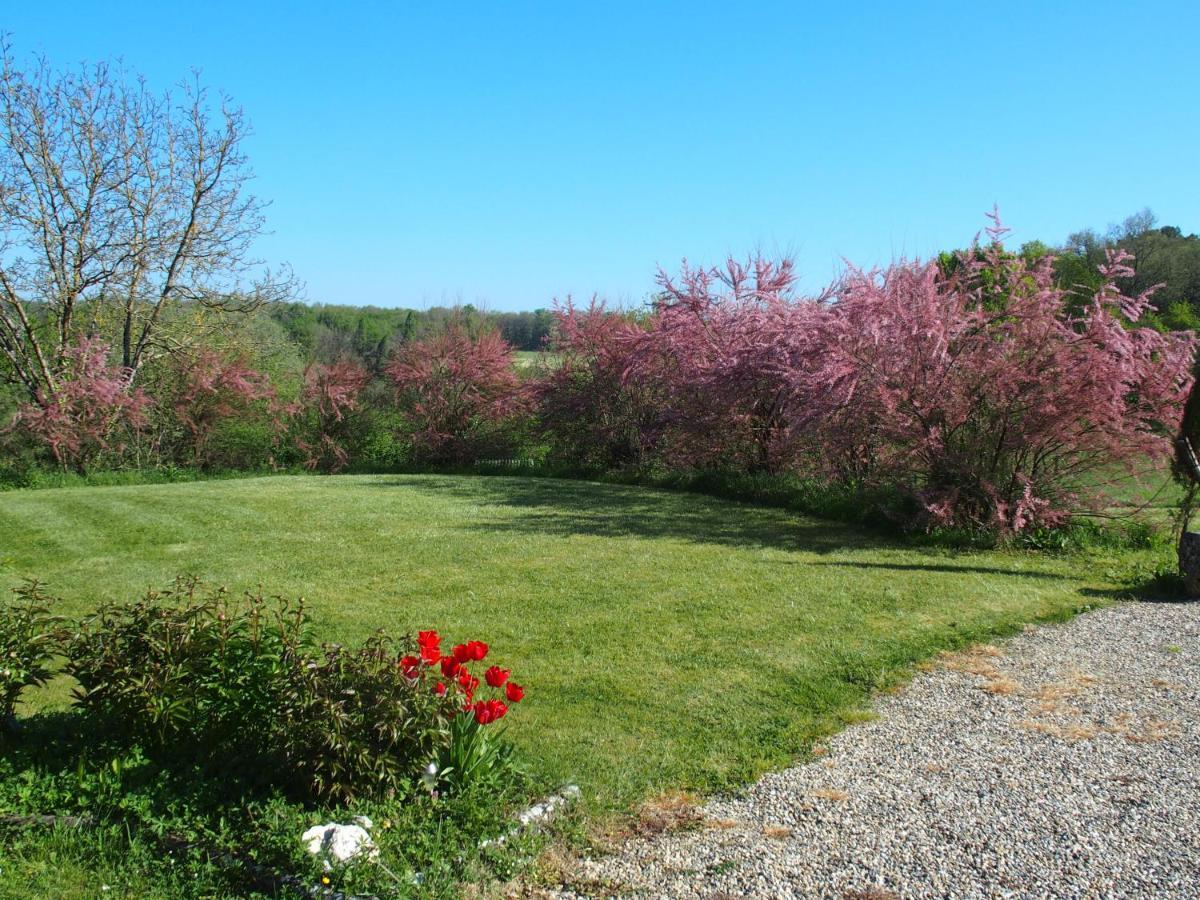 مبيت وإفطار Castelnau-sur-Gupie Les Tamaris المظهر الخارجي الصورة